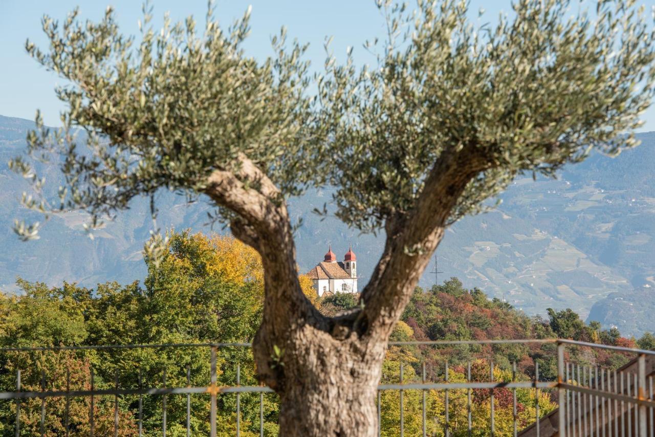 Appartamento Nofnerhof Appiano Sulla Strada Del Vino Esterno foto