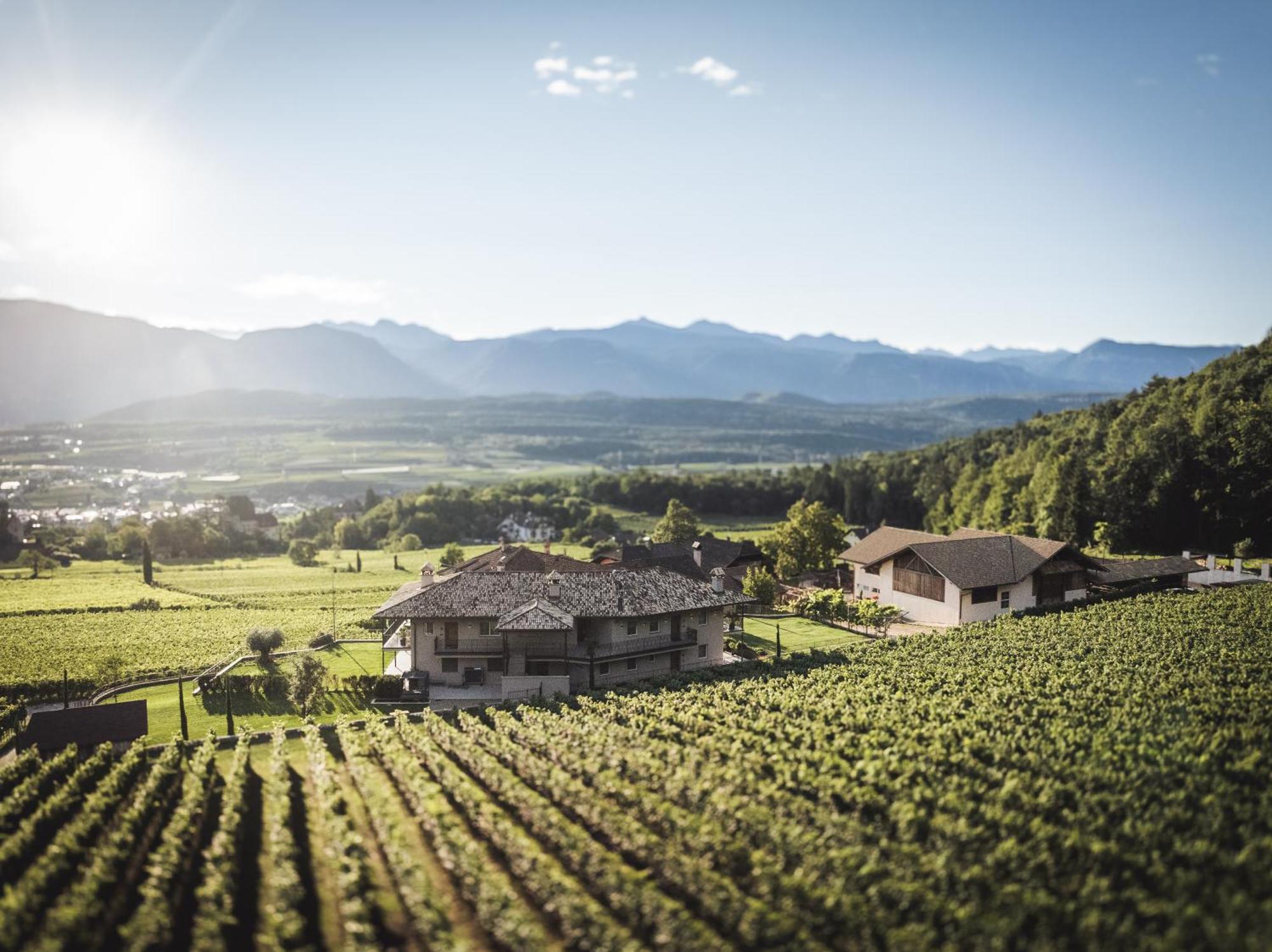 Appartamento Nofnerhof Appiano Sulla Strada Del Vino Esterno foto